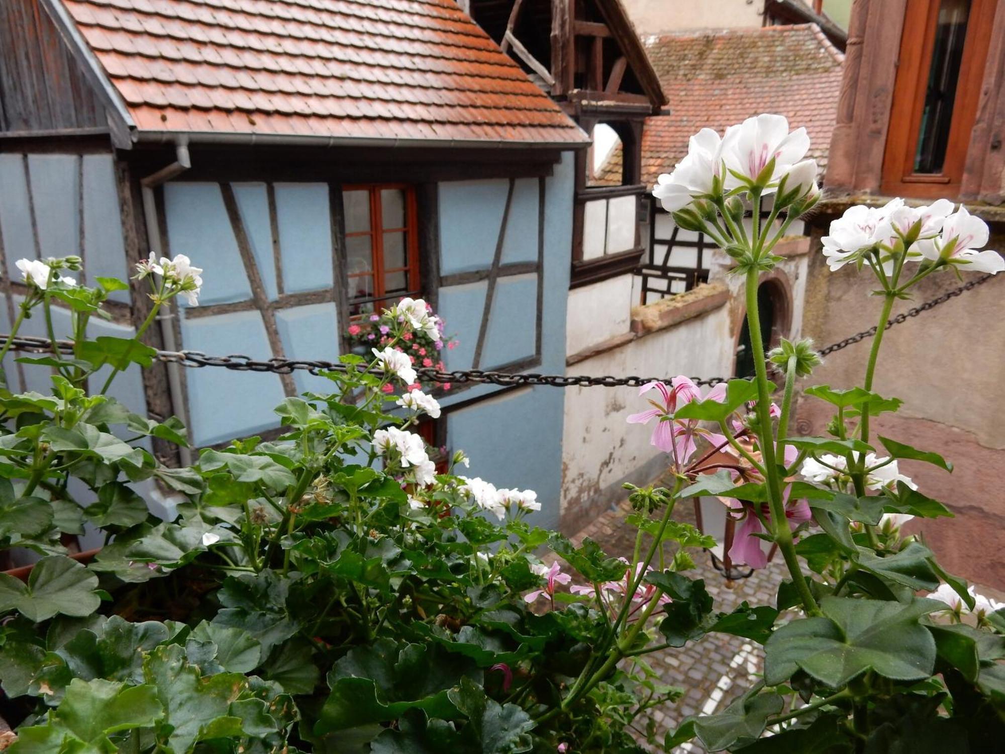 An Apartment In A 17Th Century Wine Grower S House リクヴィール エクステリア 写真