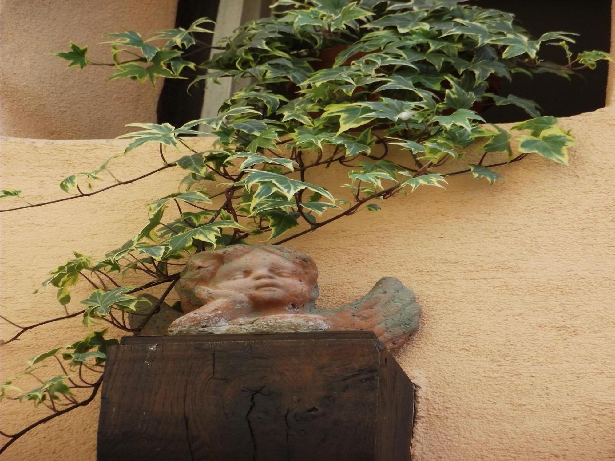 An Apartment In A 17Th Century Wine Grower S House リクヴィール エクステリア 写真